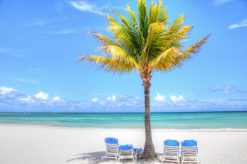 Картинка природа тропики отдых море пальма