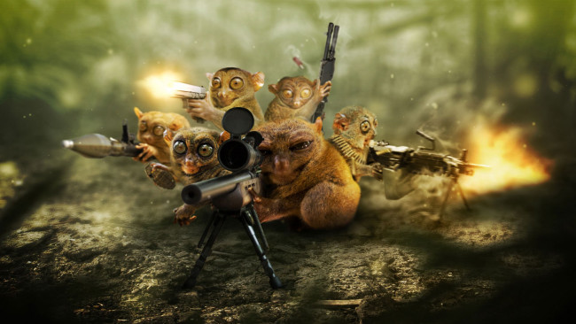 Обои картинки фото юмор и приколы, оружие