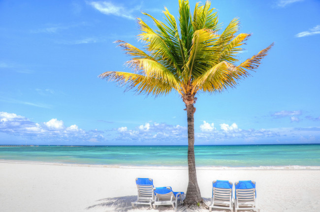 Обои картинки фото природа, тропики, отдых, море, пальма