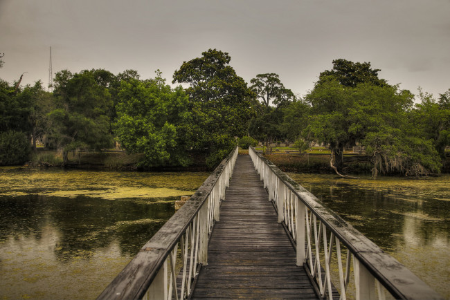 Обои картинки фото природа, дороги, деревья, мост, река