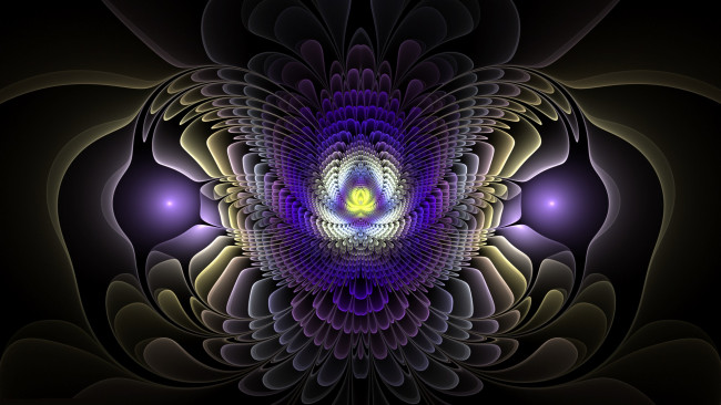 Обои картинки фото 3д графика, фракталы , fractal, цвета, фон, узор