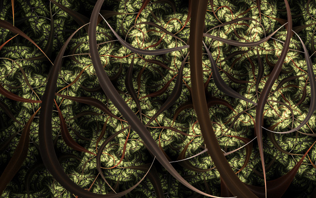Обои картинки фото 3д графика, фракталы , fractal, цвета, фон, узор
