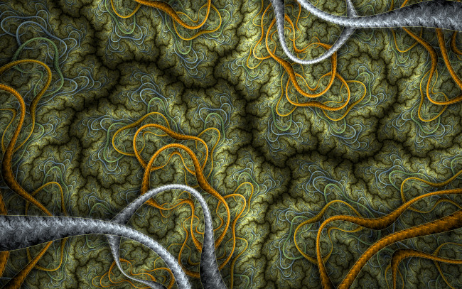 Обои картинки фото 3д графика, фракталы , fractal, фон, узор, цвета