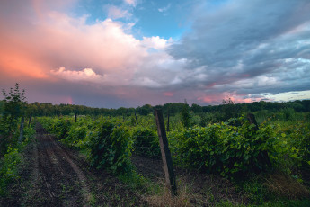 Картинка природа дороги тракт