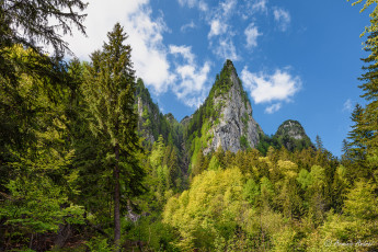 Картинка природа горы скалы