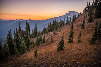 Картинка природа горы склон