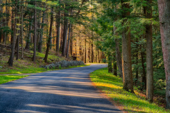 Картинка природа дороги тракт