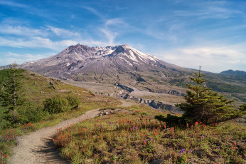 Картинка природа дороги тракт