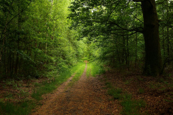 Картинка природа дороги тракт