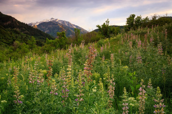 Картинка природа горы скалы