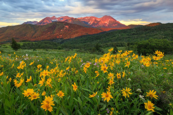 Картинка природа луга скалы