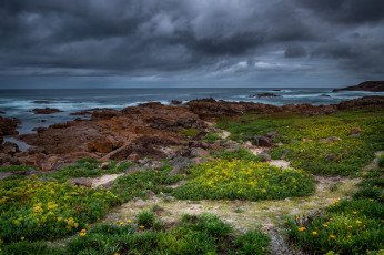 Картинка природа побережье море берег