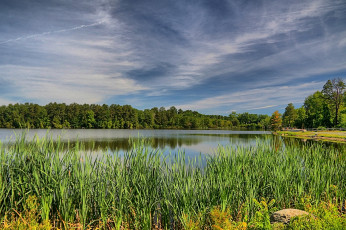 Картинка природа реки озера лес река