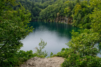 Картинка природа реки озера лес река