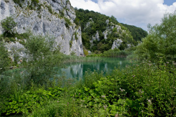 Картинка природа реки озера лес река