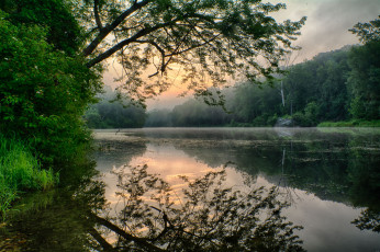 Картинка природа реки озера река лес