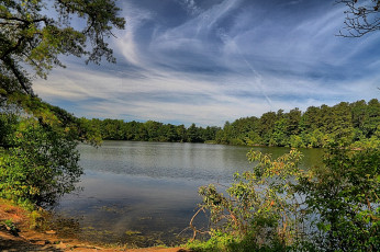 Картинка природа реки озера река лес