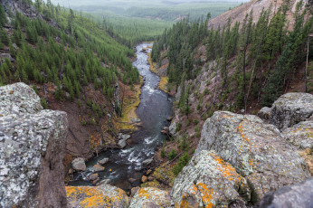 Картинка природа реки озера река лес