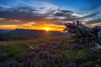 Картинка природа восходы закаты рассвет