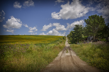 Картинка природа дороги тракт