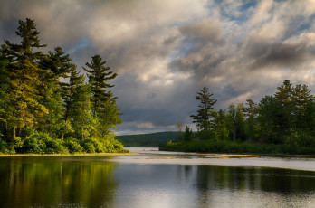 Картинка природа реки озера лес река