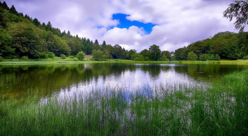 Картинка природа реки озера река лес