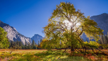 Картинка природа горы скалы