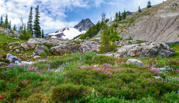 Картинка природа горы простор