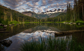 Картинка природа реки озера река лес