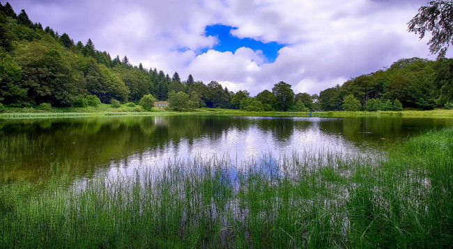 Обои картинки фото природа, реки, озера, река, лес