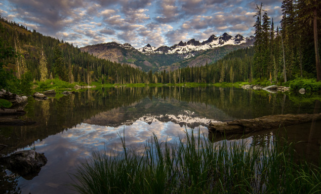 Обои картинки фото природа, реки, озера, река, лес