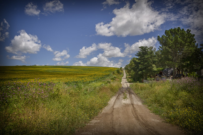 Обои картинки фото природа, дороги, тракт