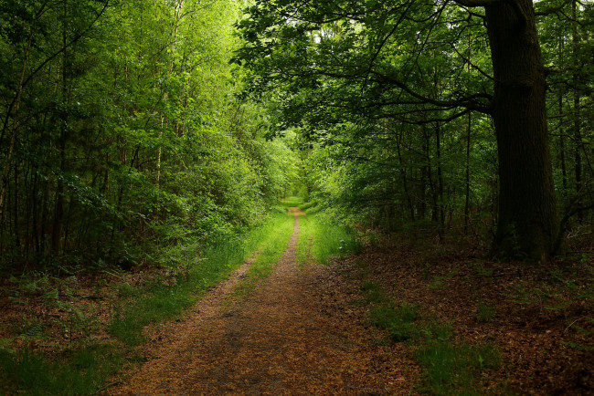 Обои картинки фото природа, дороги, тракт