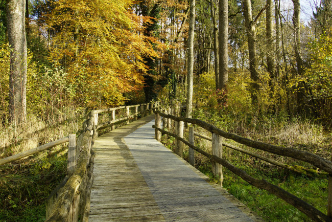 Обои картинки фото природа, дороги, тракт