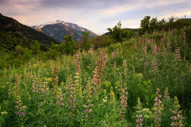 Обои картинки фото природа, горы, скалы