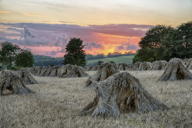 Обои картинки фото природа, поля, простор