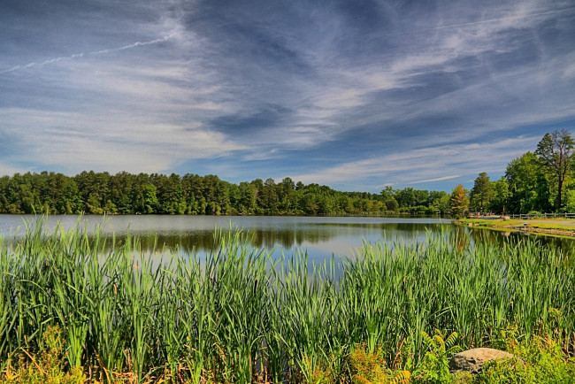 Обои картинки фото природа, реки, озера, лес, река