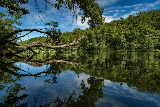 Обои картинки фото природа, реки, озера, лес, река