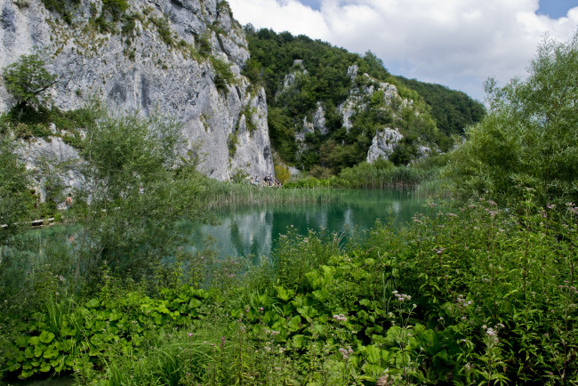 Обои картинки фото природа, реки, озера, лес, река