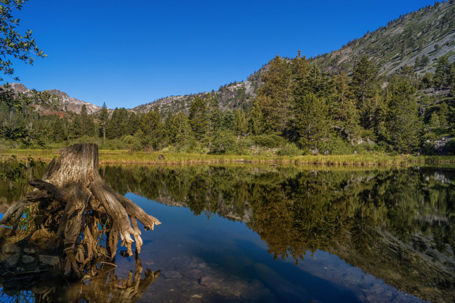 Обои картинки фото природа, реки, озера, лес, река