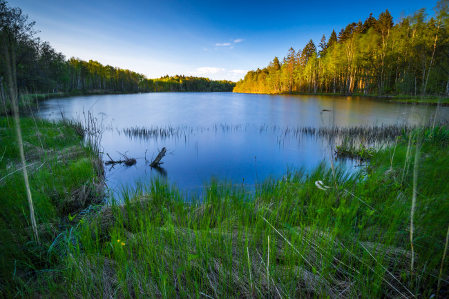 Обои картинки фото природа, реки, озера, река, лес