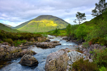 Картинка природа реки озера лес река