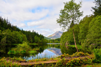 Картинка природа реки озера лес река