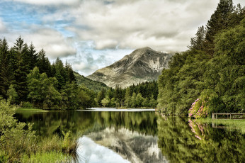 Картинка природа реки озера река лес