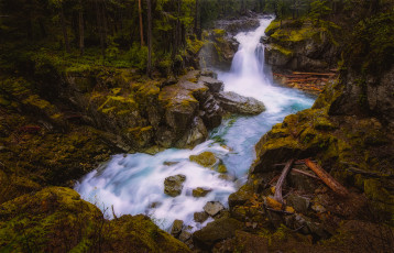 Картинка природа водопады водопад река лес