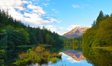 Картинка природа реки озера лес река