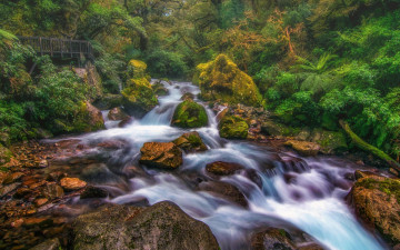Картинка природа реки озера национальный парк фьордленд милфорд тропические леса южный островновая зеландия лес река мост камни водопад пейзаж