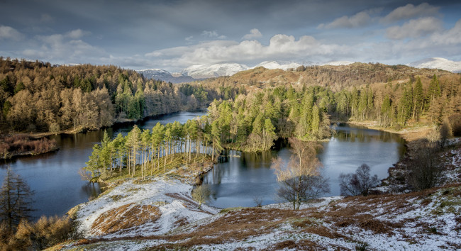 Обои картинки фото природа, реки, озера, река, лес