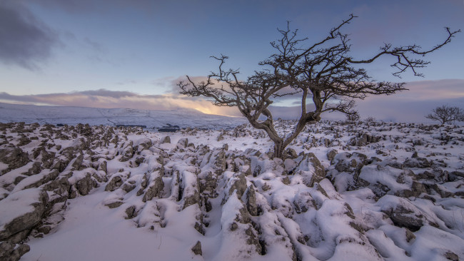 Обои картинки фото природа, поля, простор