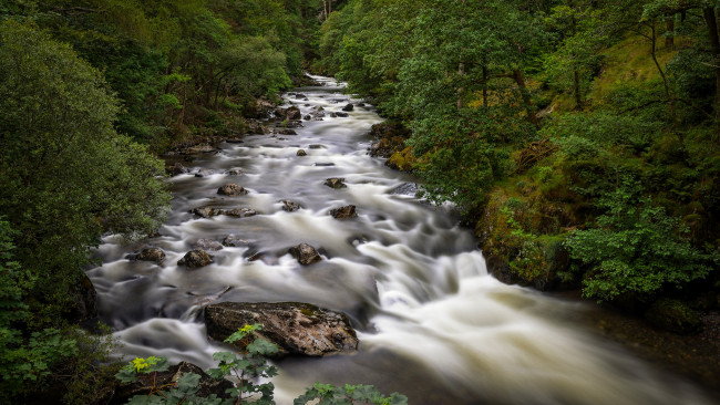 Обои картинки фото природа, реки, озера, река, лес